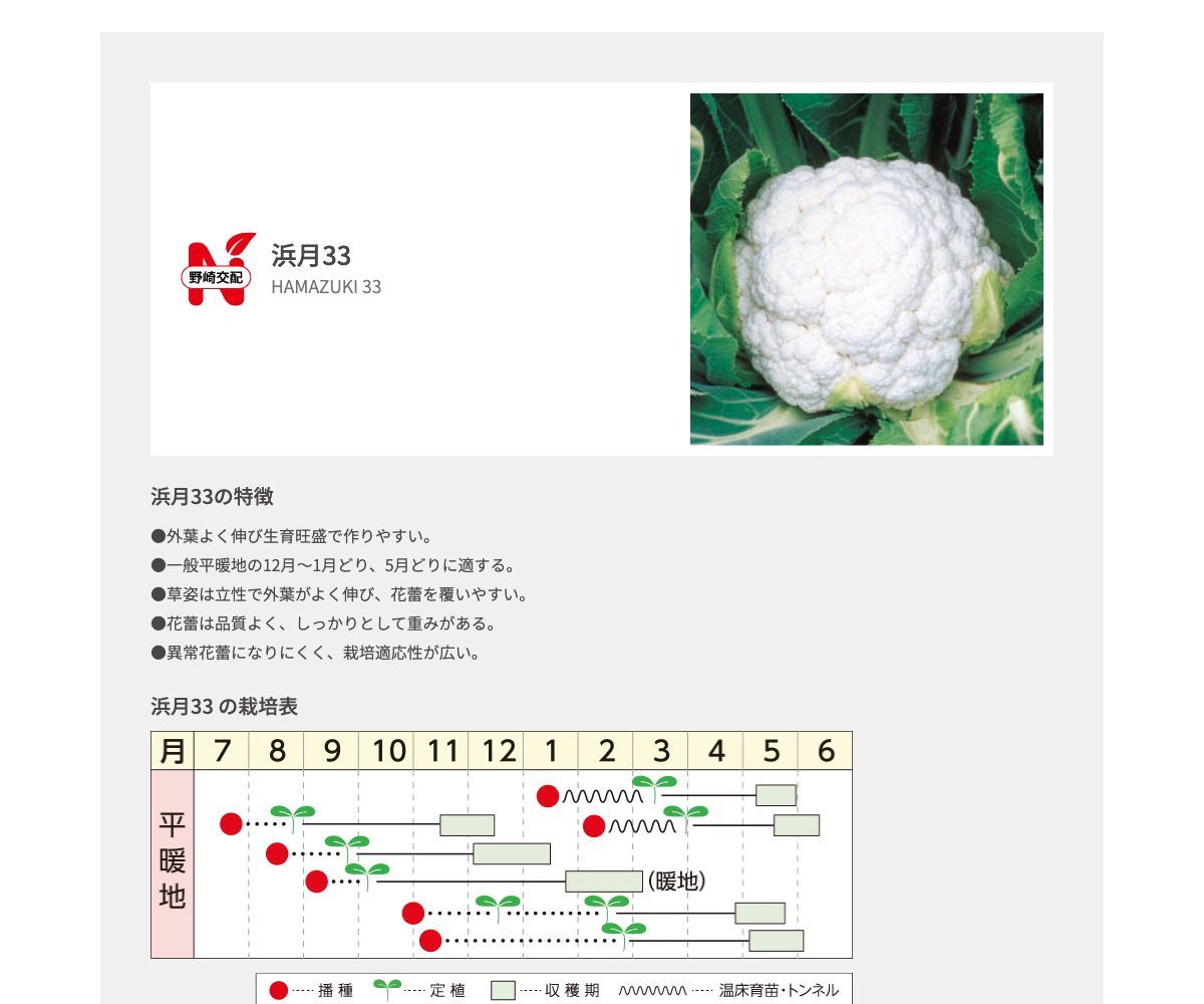 浜月33