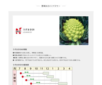 うずまきERの画像