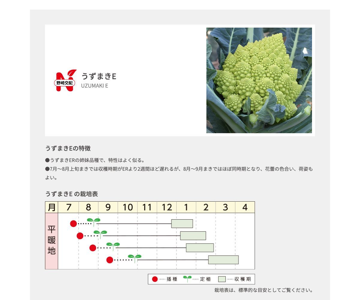 うずまきE