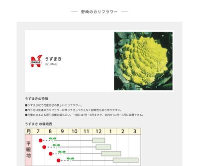 うずまきの画像