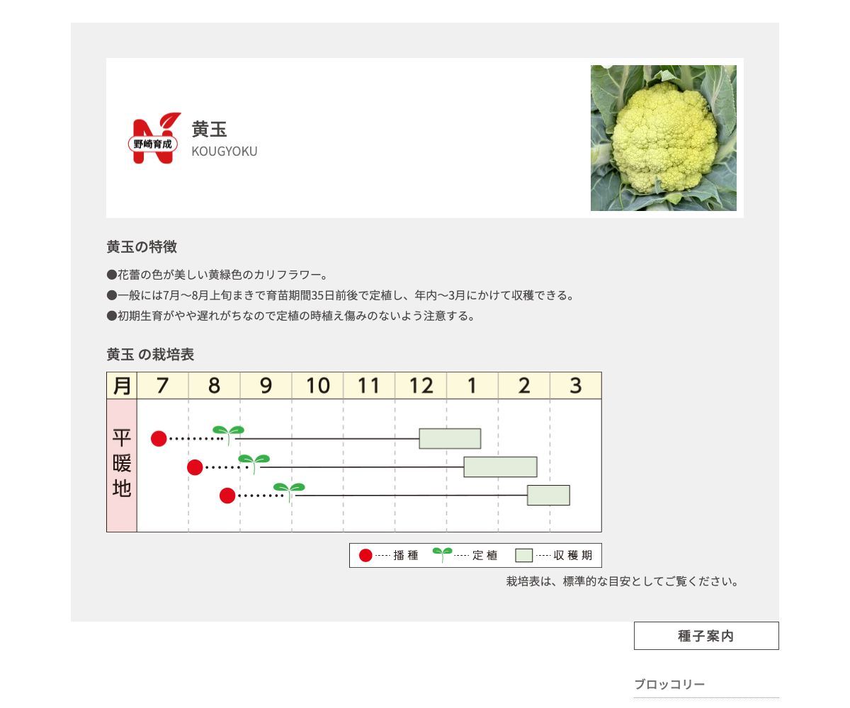 黄玉