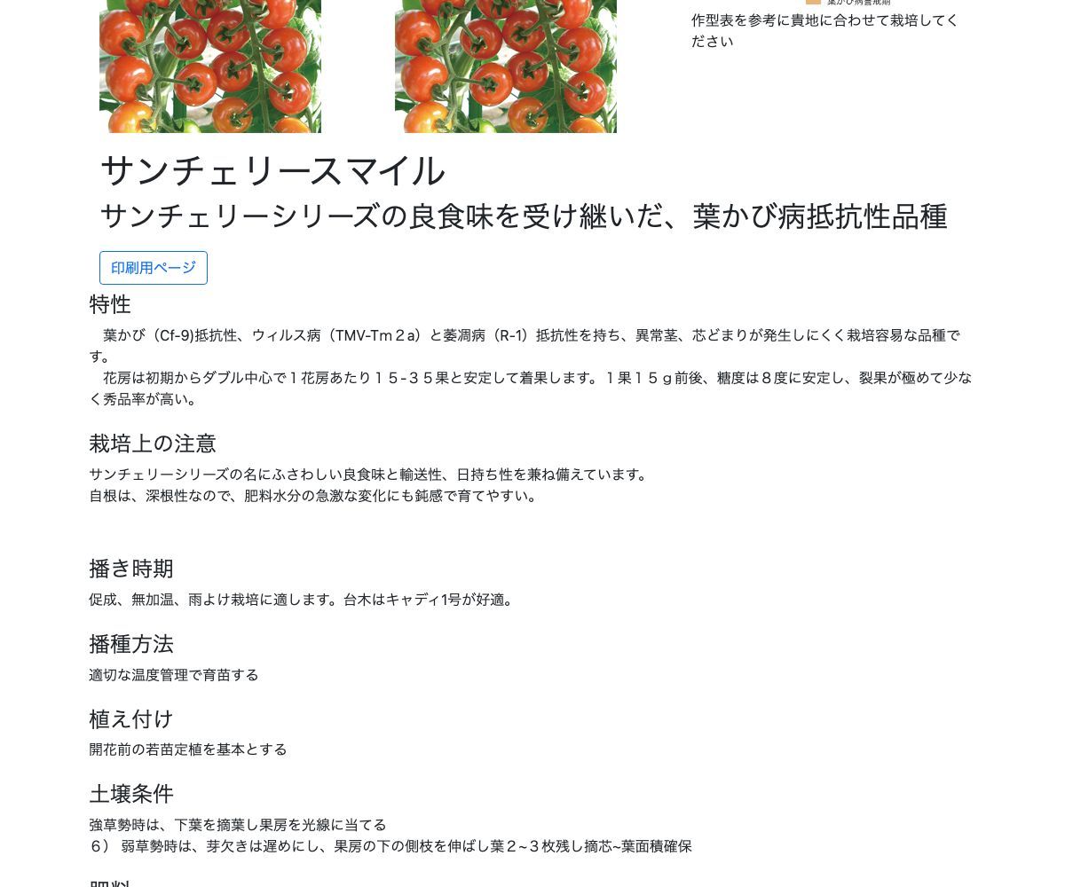 サンチェリースマイル