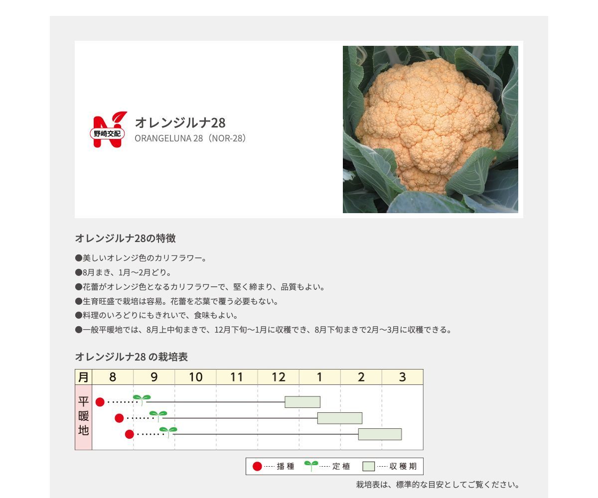 オレンジルナ28