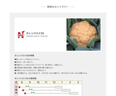 オレンジルナ28の画像