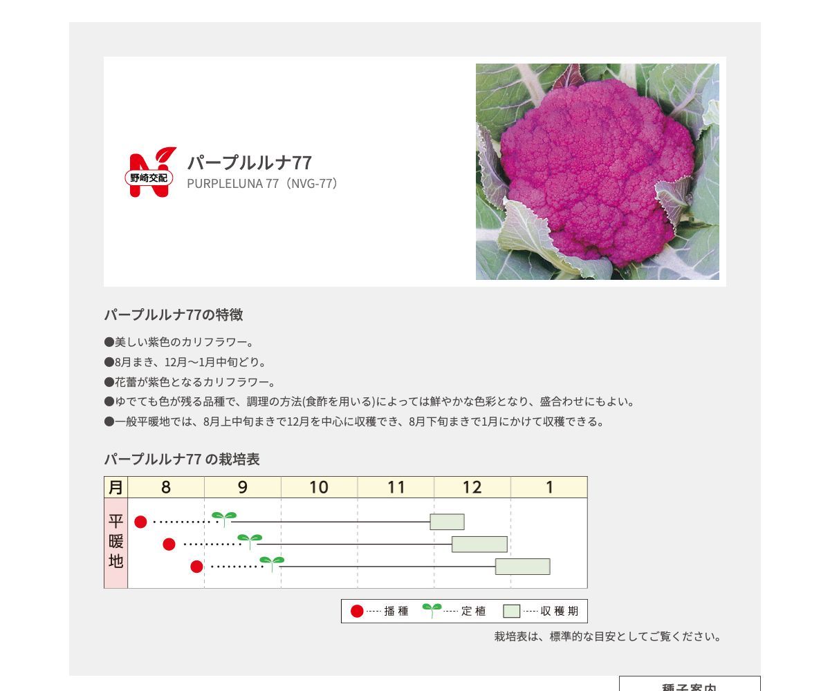 パープルルナ77
