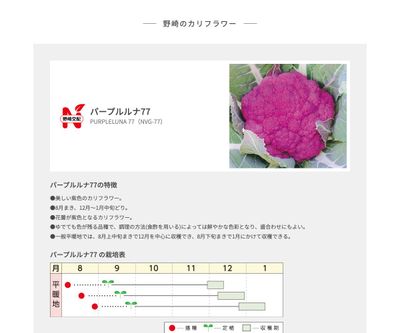 パープルルナ77の画像