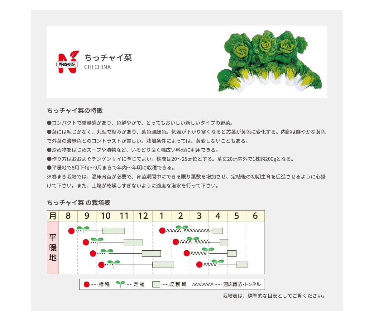 ちっチャイ菜