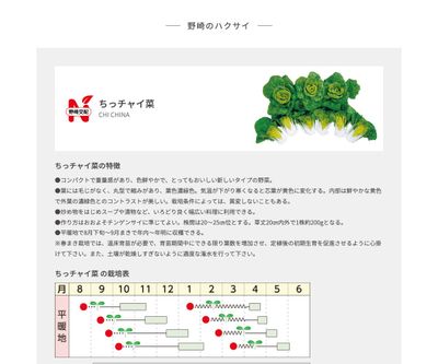 ちっチャイ菜の画像
