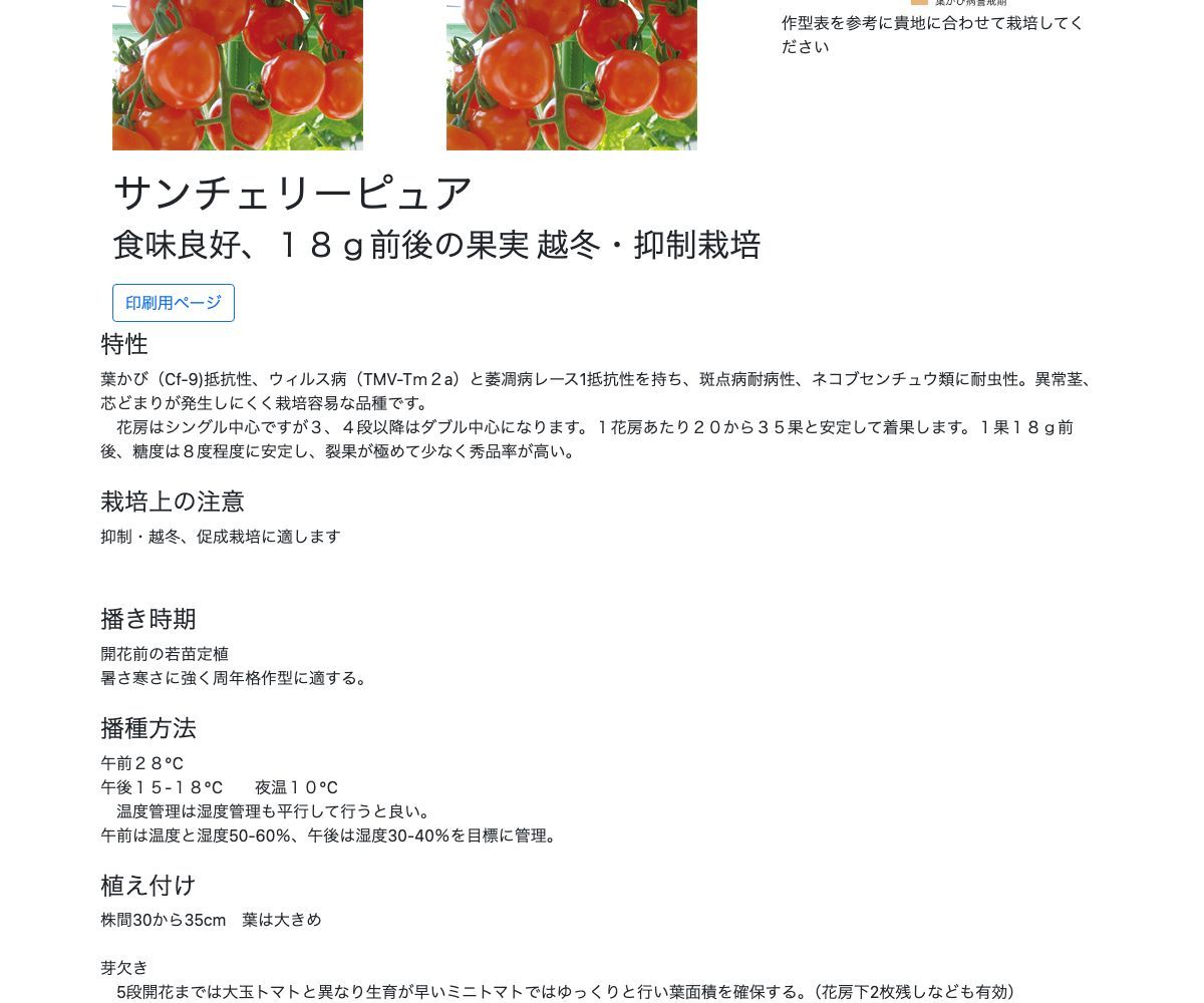 サンチェリーピュア
