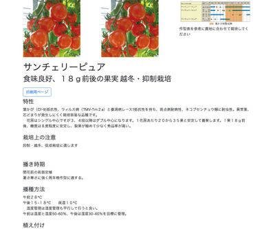 サンチェリーピュアの画像