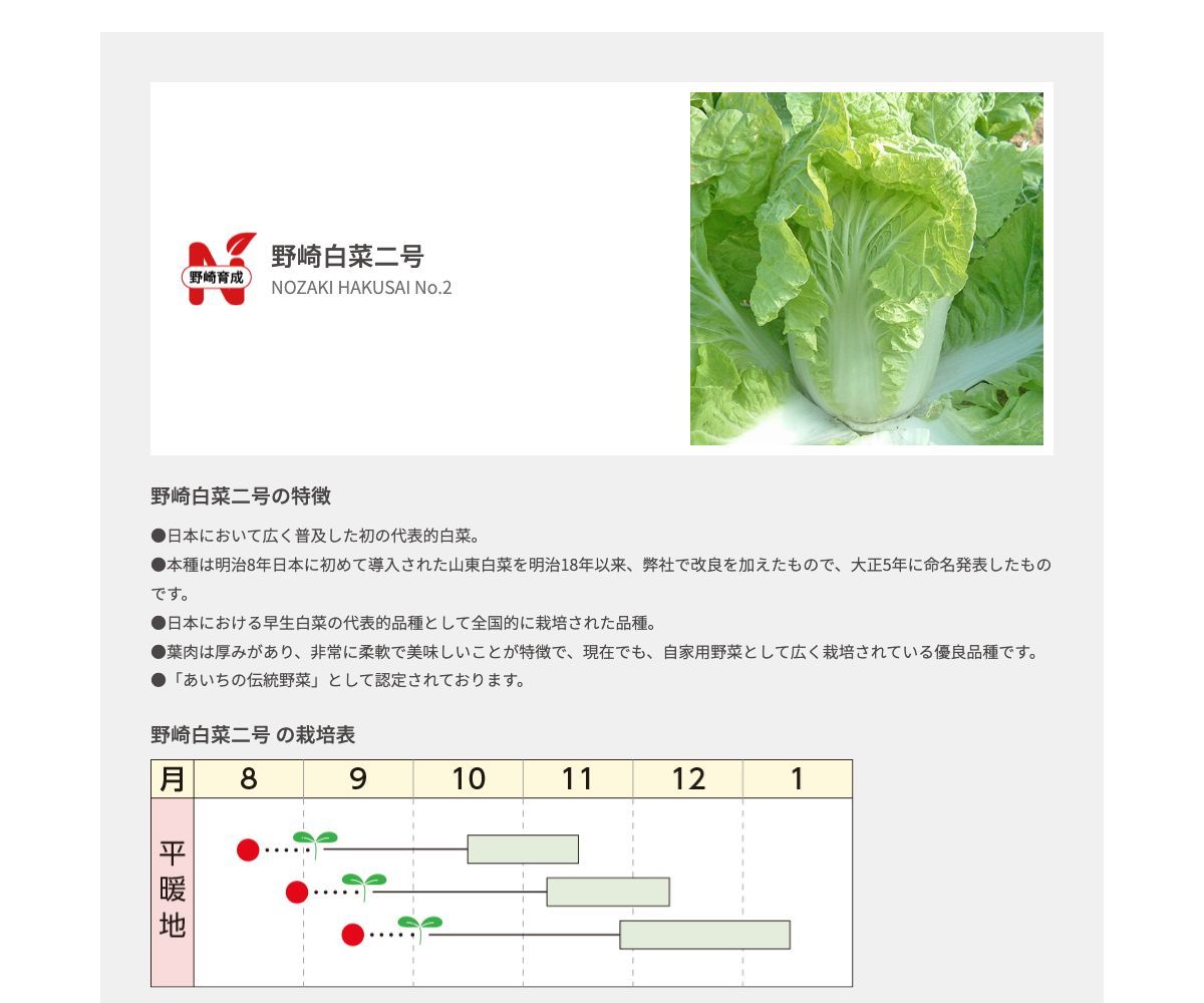 野崎白菜二号