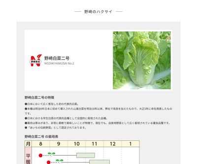 野崎白菜二号の画像