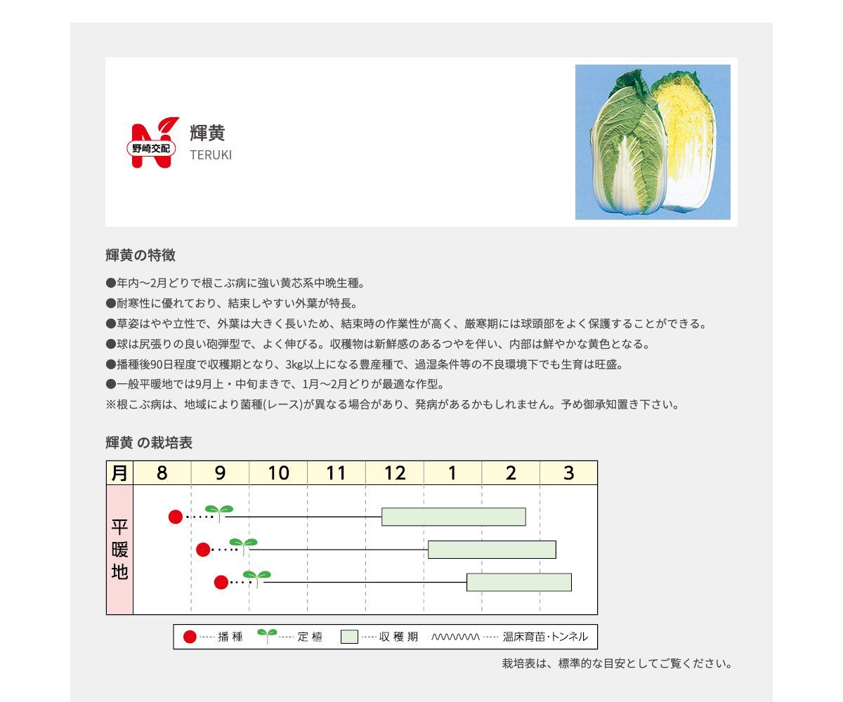 輝黄