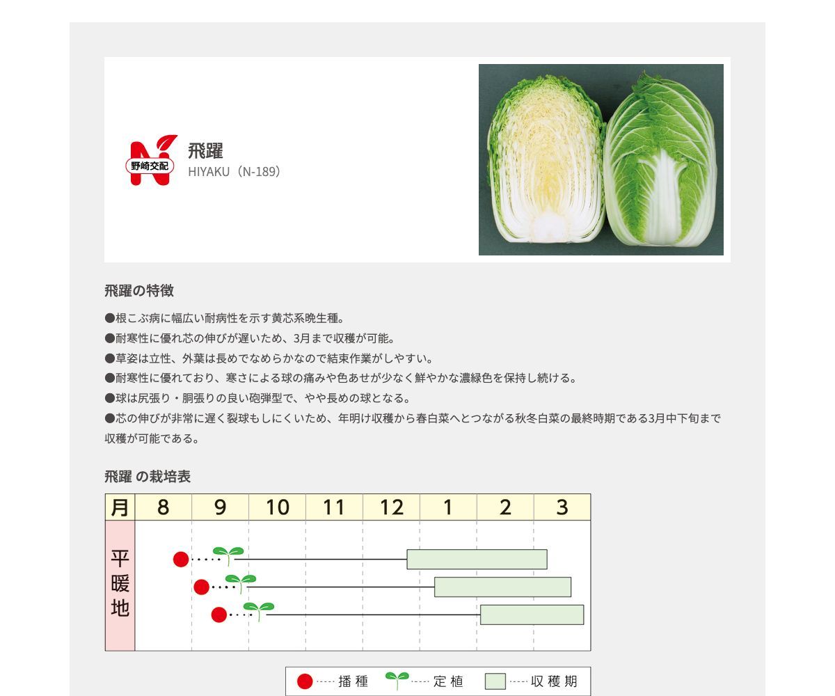 飛躍