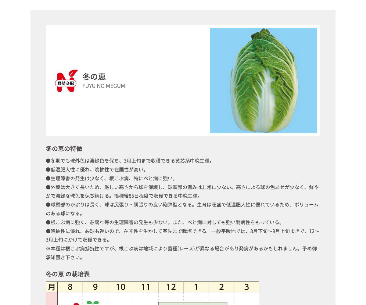 冬の恵
