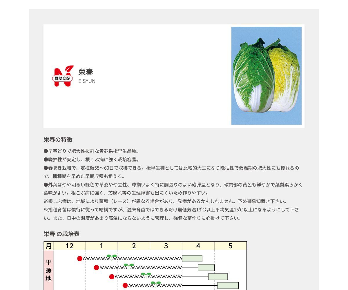 栄春