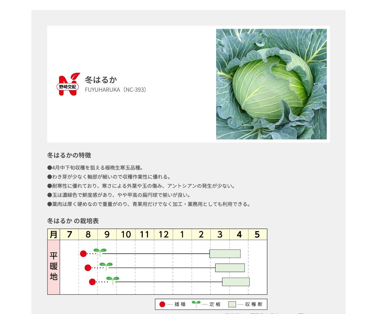冬はるか
