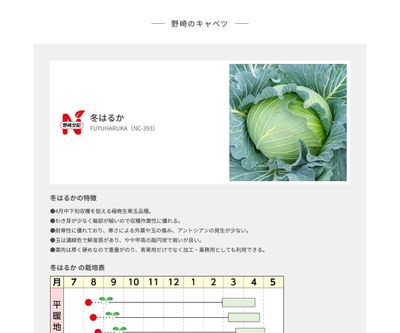 冬はるかの画像