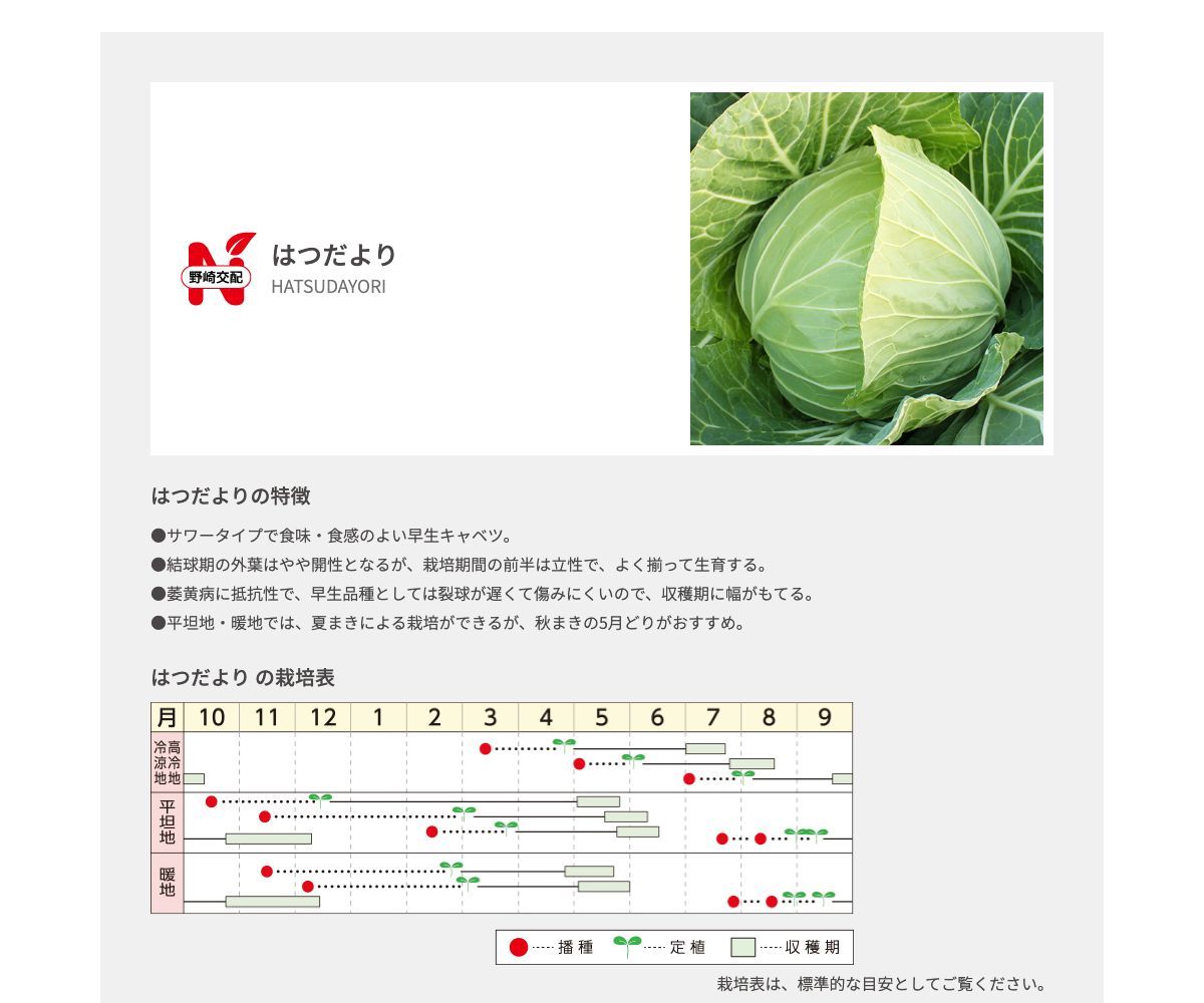 はつだより