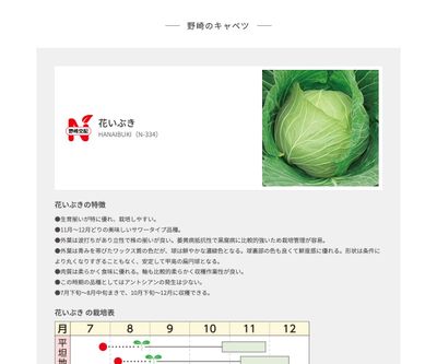 花いぶきの画像