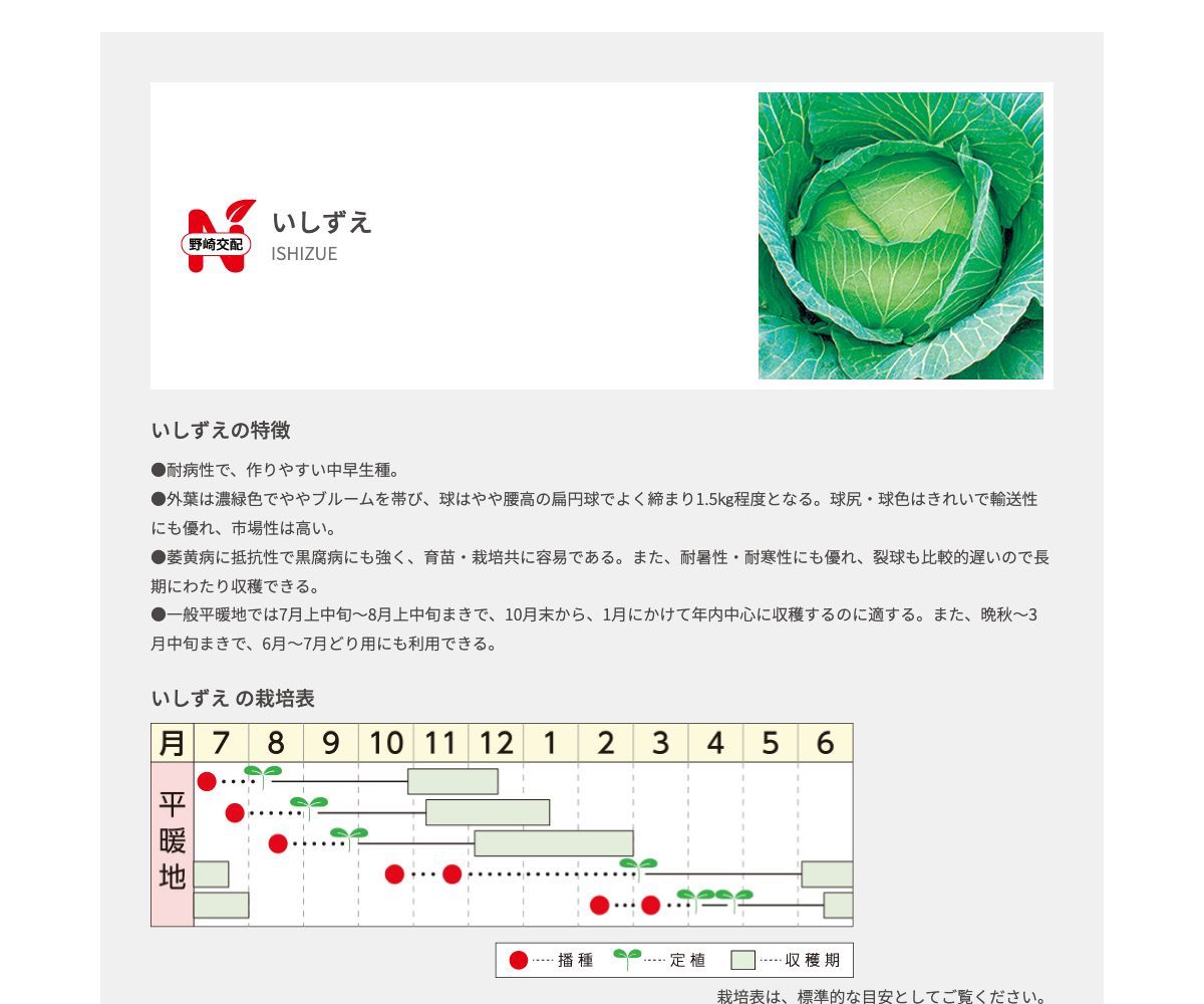 いしずえ