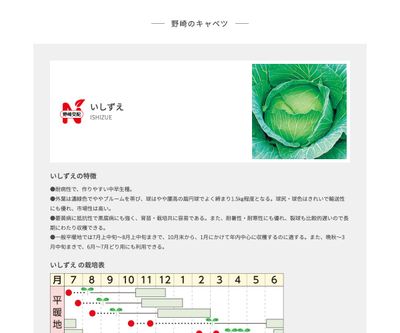 いしずえの画像