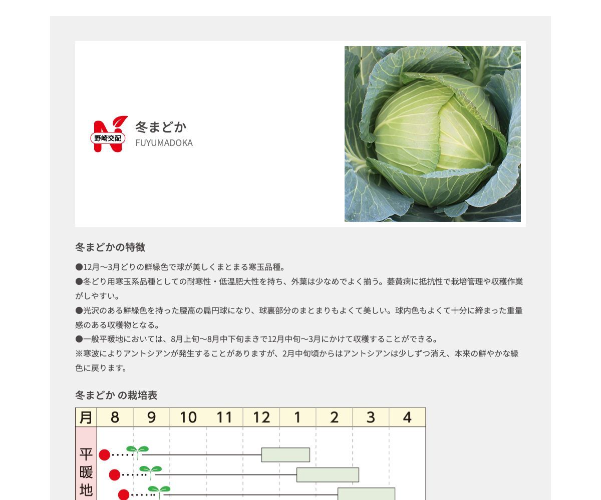 冬まどか