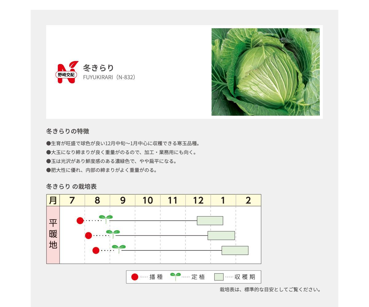 冬きらり