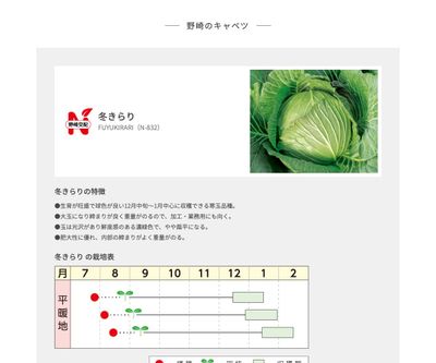 冬きらりの画像