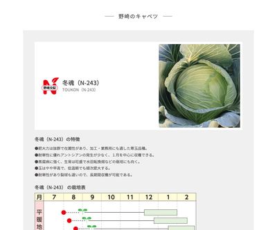 冬魂（N-243）の画像