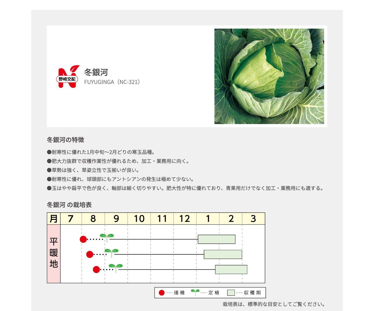 冬銀河