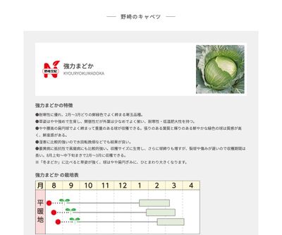 強力まどかの画像