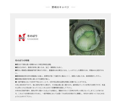 冬のぼりの画像