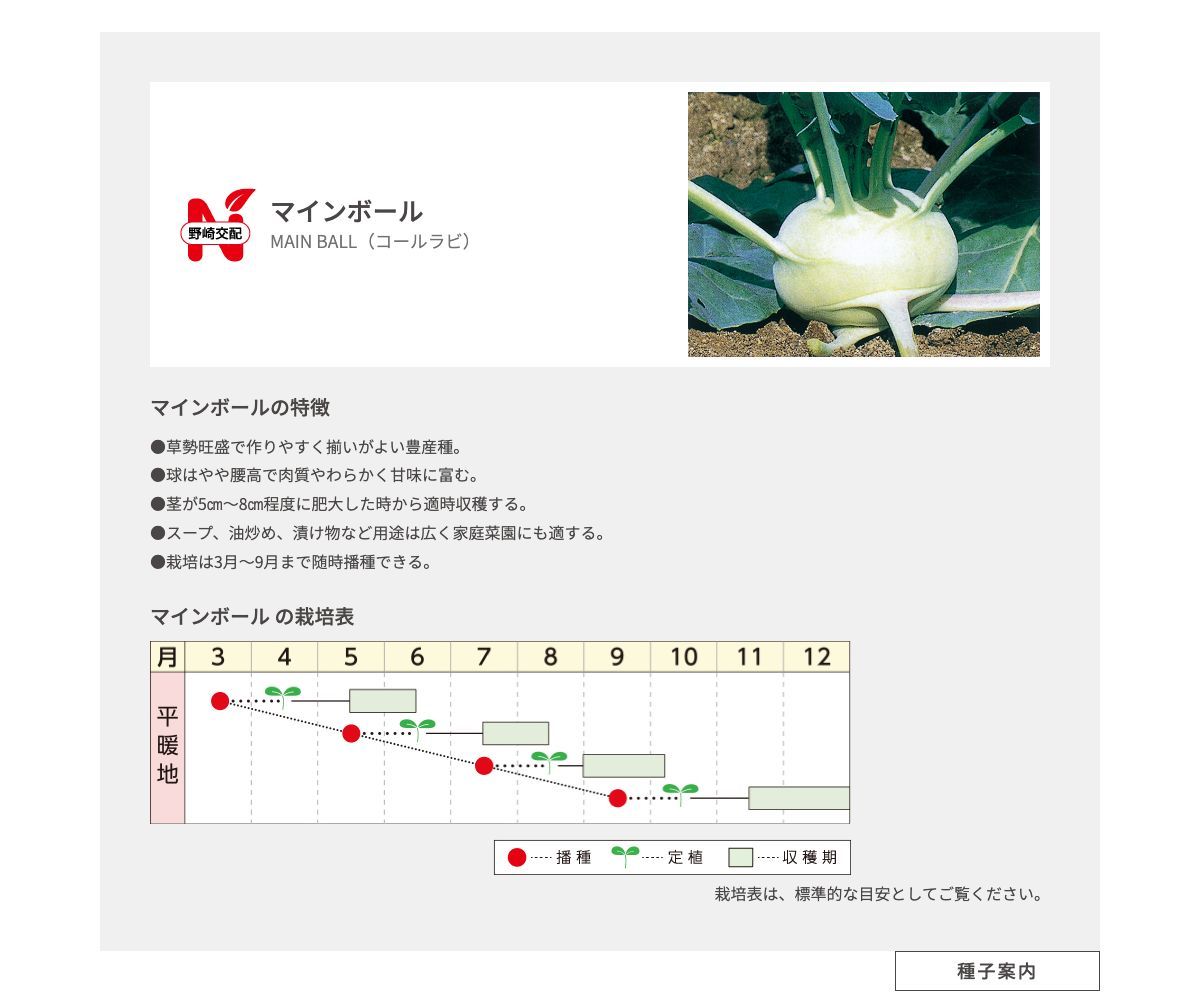 マインボール