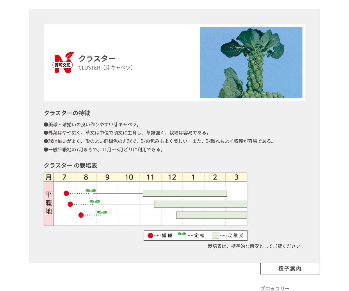 クラスター