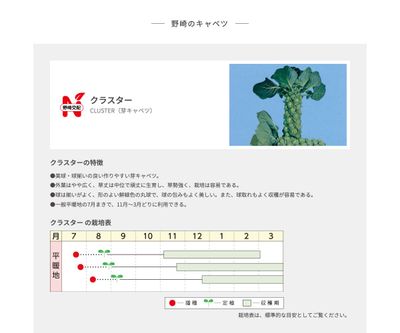 クラスターの画像
