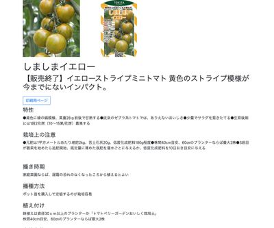 しましまイエローの画像