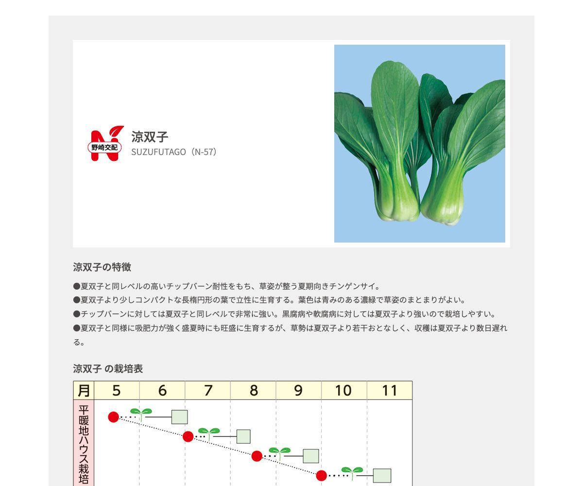 涼双子