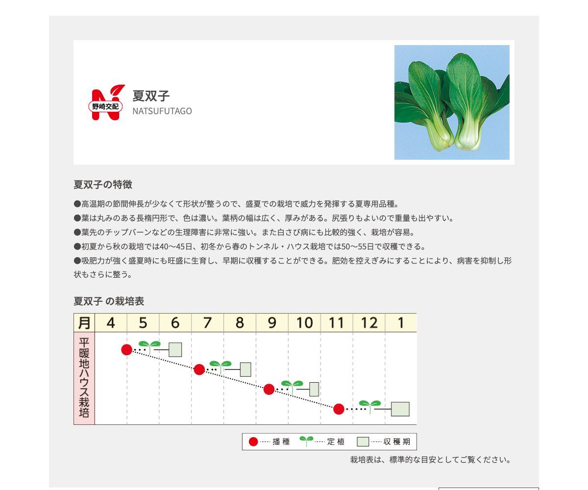 夏双子