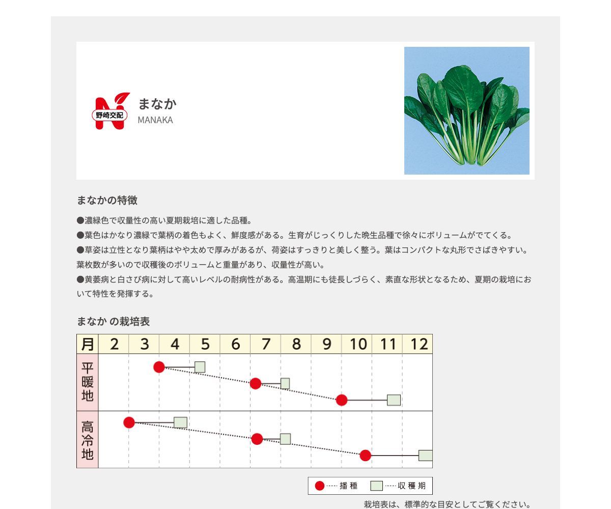 まなか