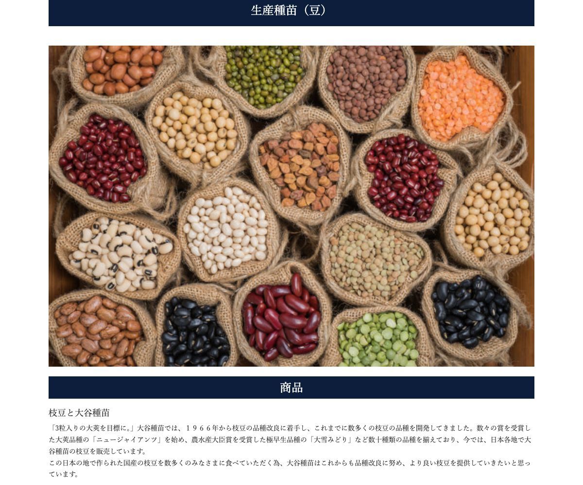 北の初恋