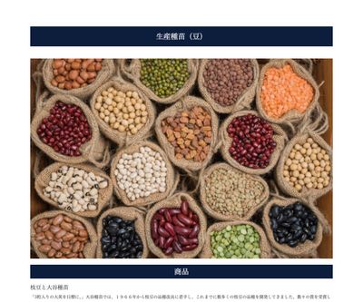 北の四季の画像