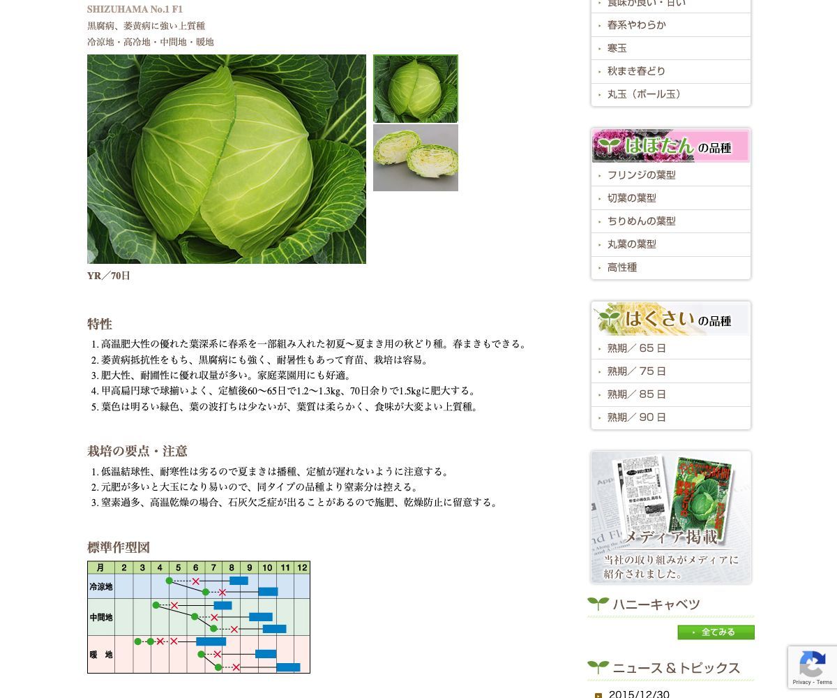 しずはま1号