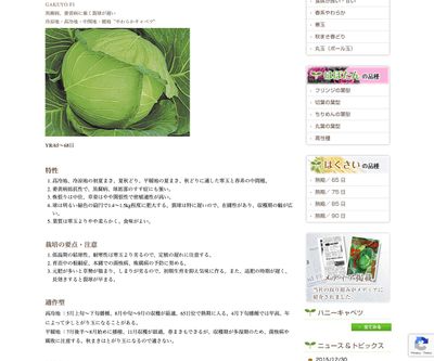 岳陽（がくよう）