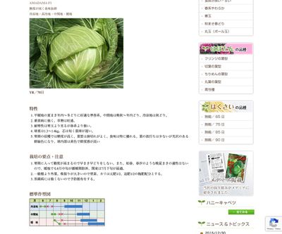 あまだま