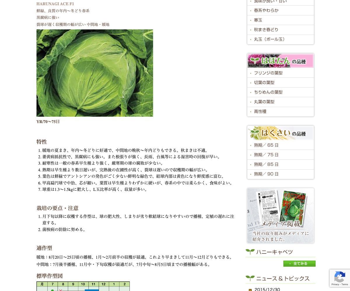 はるなぎエース