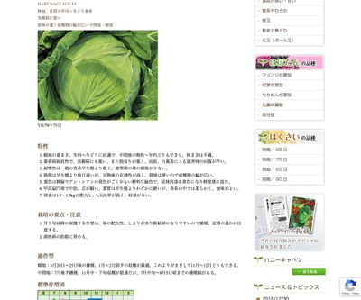 はるなぎエース