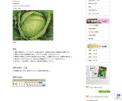 一陽（いちよう）