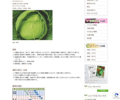 YRしぶき