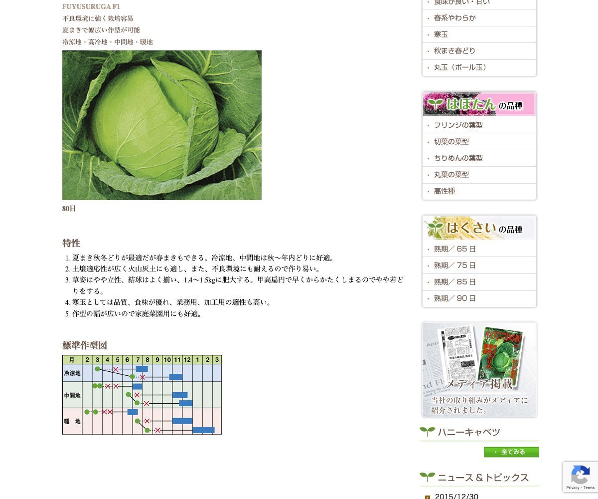 冬駿河(ふゆするが)